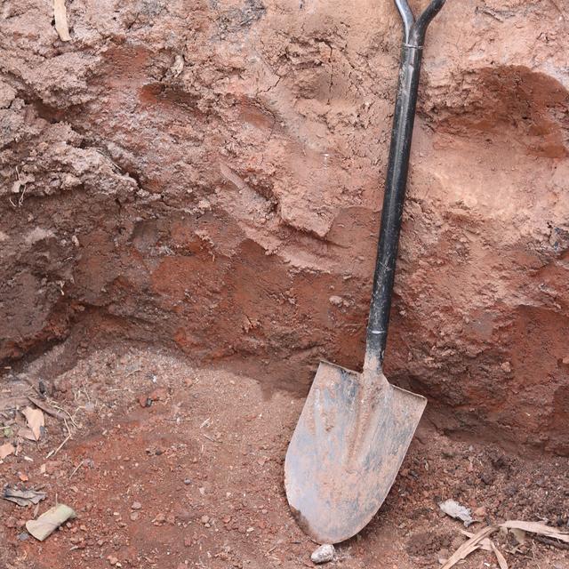 Don't Dig A Deeper Grave for Yourself - podcast episode cover