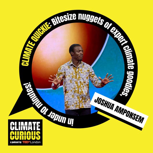 Why Africa’s workforce are climate leaders, not just labourers - podcast episode cover