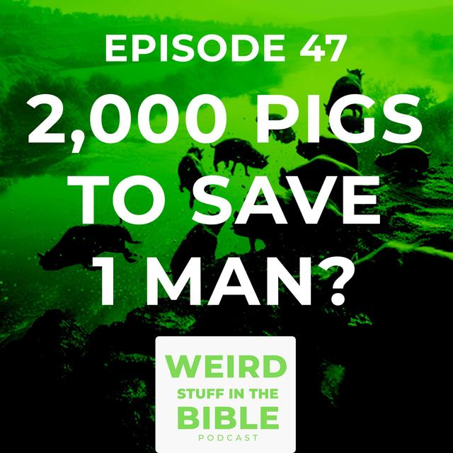 Why did Jesus Cast the Demons into the Pigs? - podcast episode cover
