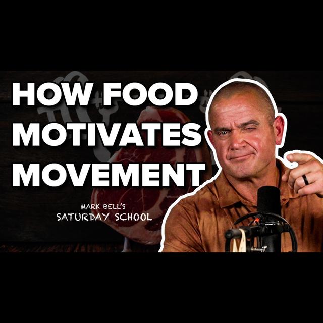 How Food Effects Motivation to Exercise || MBSS Ep. 50 - podcast episode cover