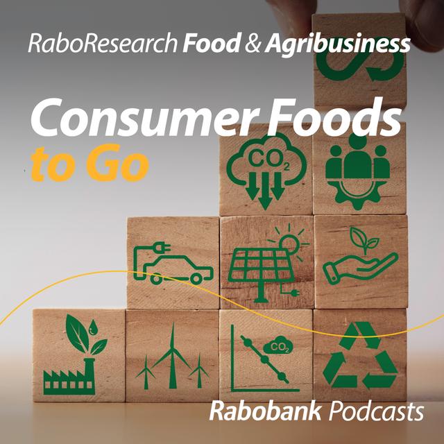 The challenges in measuring sustainability data - podcast episode cover