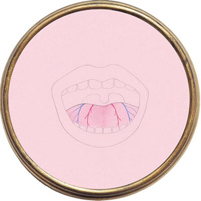 INTRO - Host's Mouth - podcast episode cover