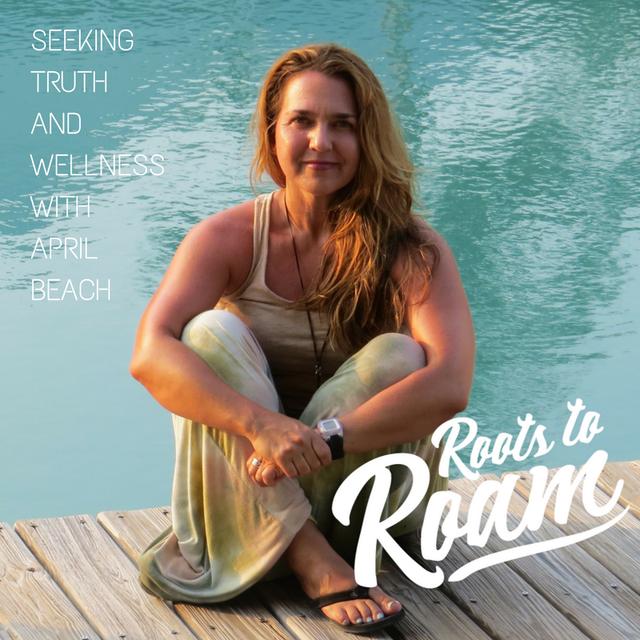 Lifestyle Design, 20-hour Work Weeks, & Entrepreneurship with April Beach - podcast episode cover