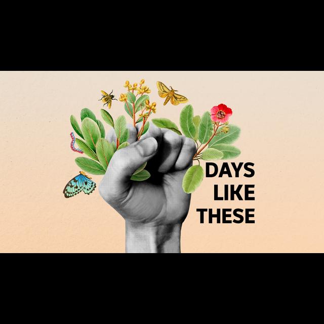 Days Like These returns - podcast episode cover