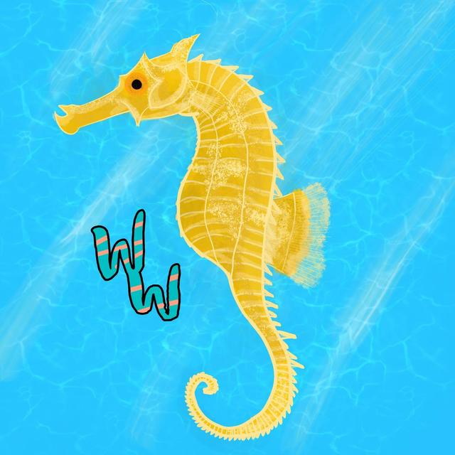 Lined Seahorse - podcast episode cover