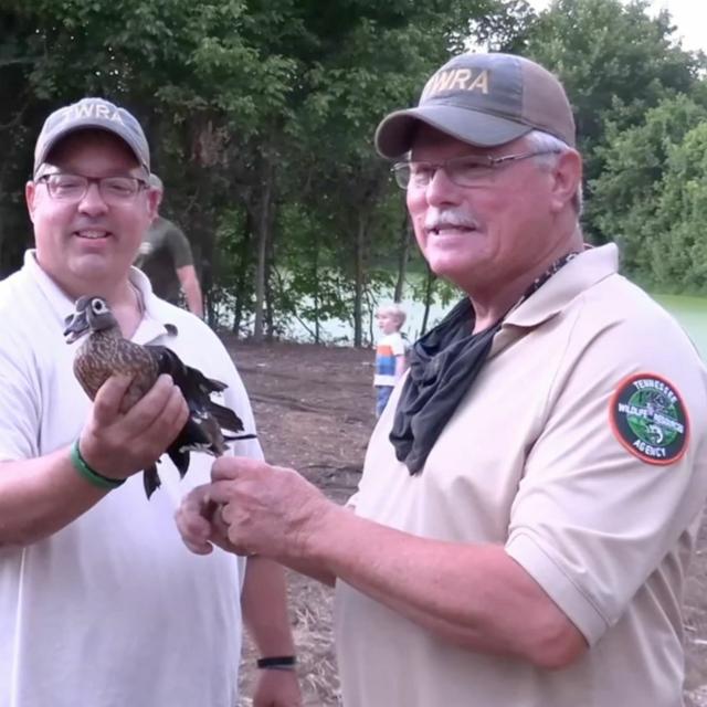 TW 311 - Wood Duck Banding Legend - podcast episode cover