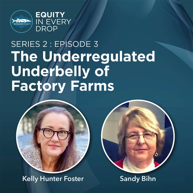 The Underregulated Underbelly of Factory Farms - podcast episode cover