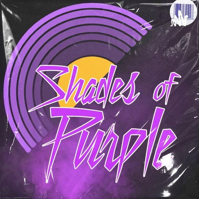 Was Prince a sexual predator? Part One-Prince and Mayte - podcast episode cover