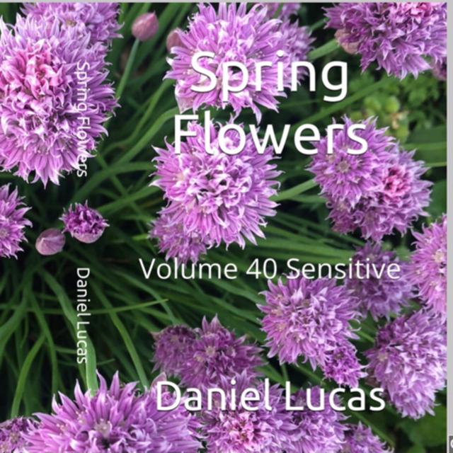 Spring Flowers Volume 40 Sensitive by Daniel Lucas - podcast episode cover