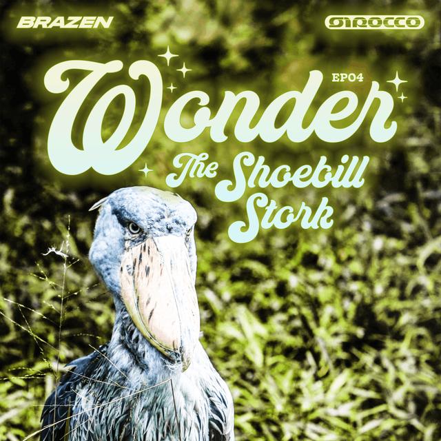The Shoebill Stork - podcast episode cover