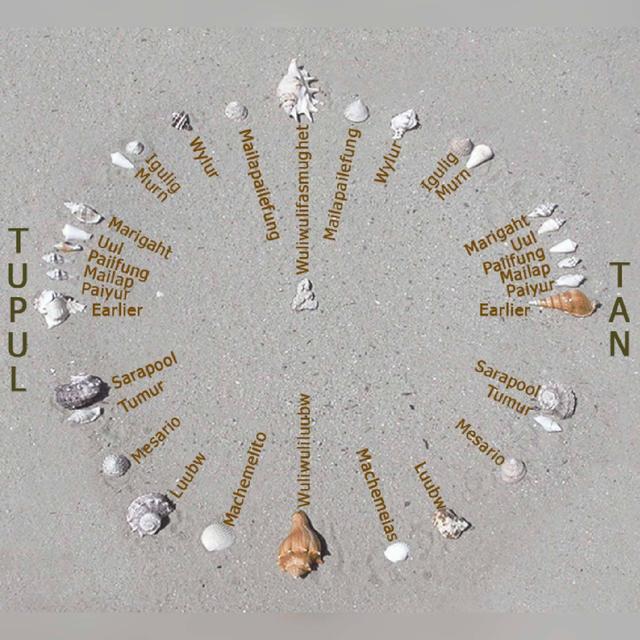 The Stars That Guide Us, with Nainoa Thompson - podcast episode cover