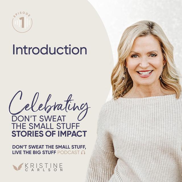 Celebrating Don’t Sweat the Small Stuff: Stories of Impact - Introduction - podcast episode cover