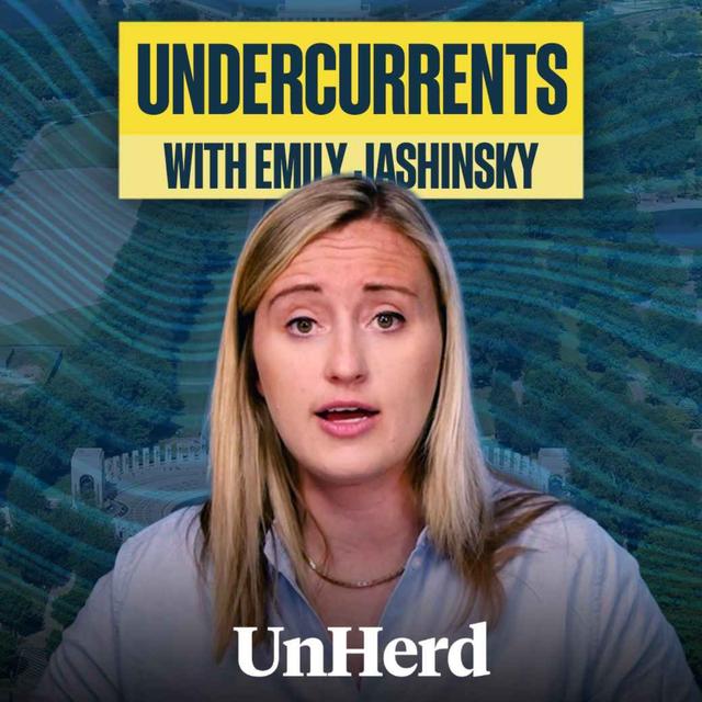 Democrats call ex-disinformation chief to testify on censorship - podcast episode cover