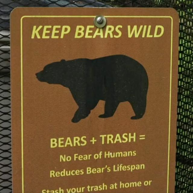 TW 318 - Be BearWise, It Saves Lives - podcast episode cover