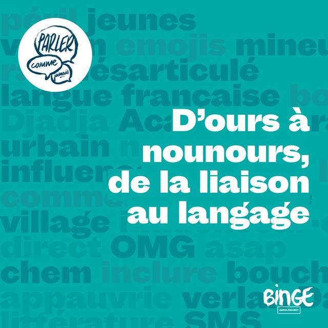 D'ours à nounours, de la liaison au langage - podcast episode cover