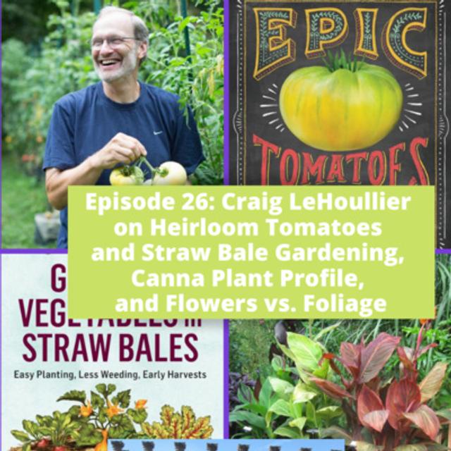 Heirloom Tomatoes and Straw Bale Gardening - podcast episode cover