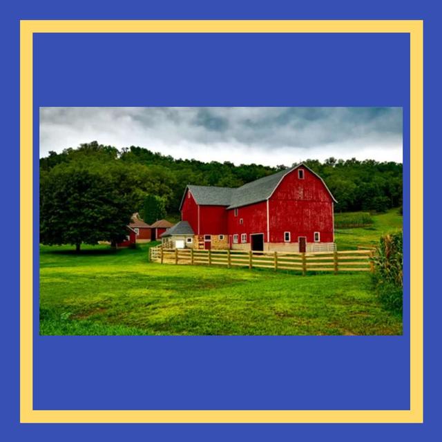 Bonus: Counting on a Farm - podcast episode cover