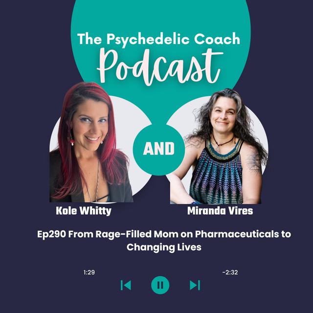 Ep287 Doctors Didn't Help And Pharmaceuticals Made It Worse...How This Mom Healed Herself And Helping Others Do The Same - podcast episode cover