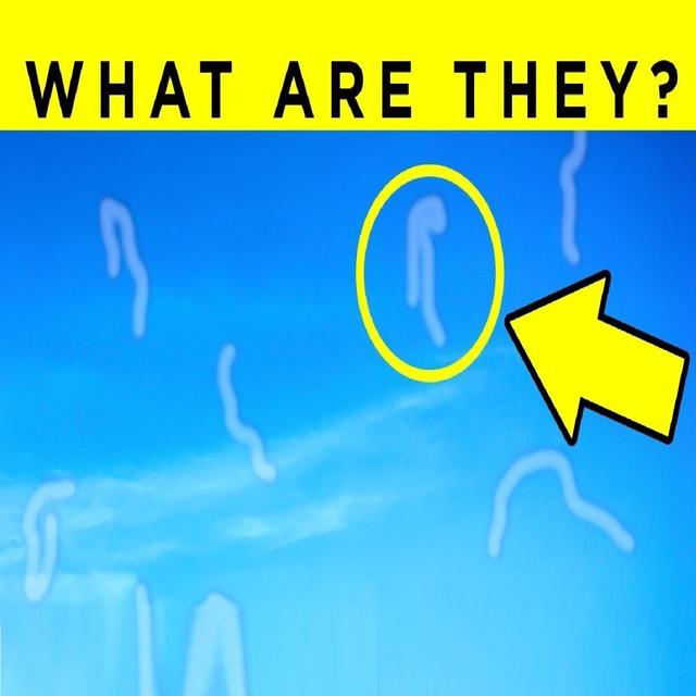 What Are Those Floaty Things In Your Eye? Fact Show - podcast episode cover