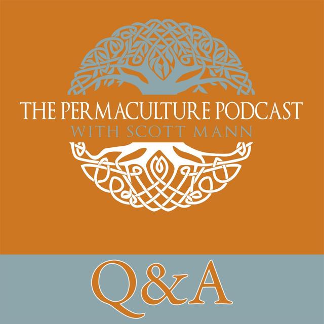 What Holds You Back? - podcast episode cover