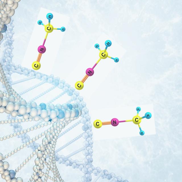 Establishing an epigenetic lens through which to explore infectious disease and cancer - podcast episode cover