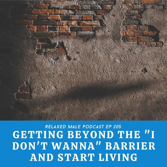 Getting Beyond the "I Don't Want To" Barrier and Start Living - podcast episode cover