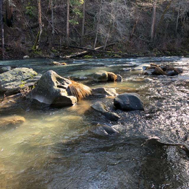 Episode 92: Winter Day Beside The McCloud River - podcast episode cover