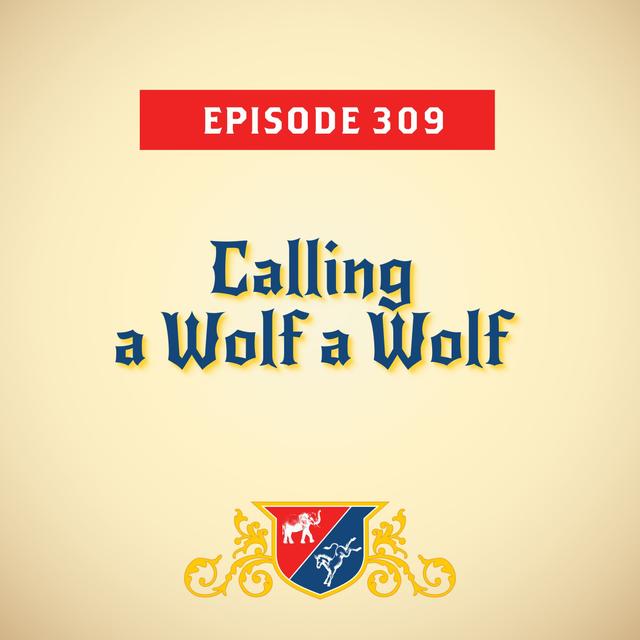 Calling a Wolf a Wolf (with Jeff Greenfield) - podcast episode cover