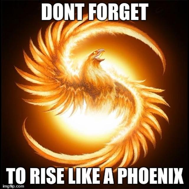 Phoenix Rising - podcast episode cover