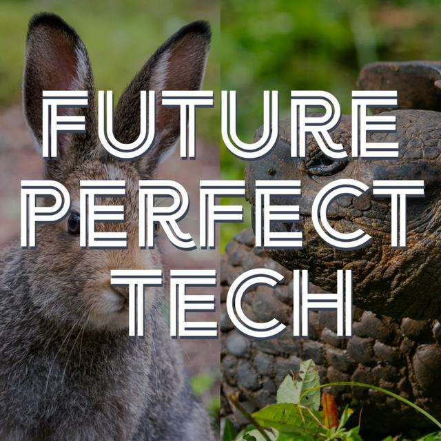 The Innovation Curve and the Hype Cycle - podcast episode cover