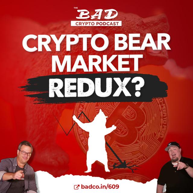 The Crypto Bear Market Redux? - podcast episode cover