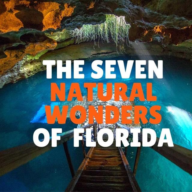 The Seven Natural Wonders of Florida - podcast episode cover