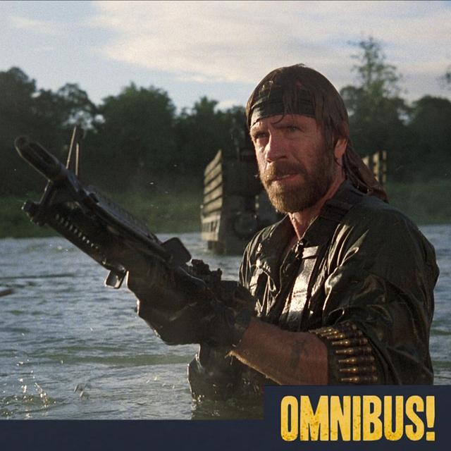Missing in Action (Entry 795.2CH2811) - podcast episode cover