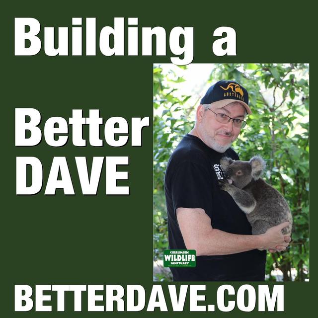What I Did on My Summer Vacation - podcast episode cover