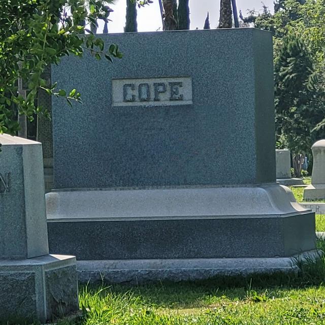 The Audacity Of Cope - podcast episode cover