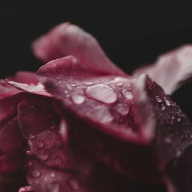 Wimpy Theology Makes Vulnerable Women - podcast episode cover