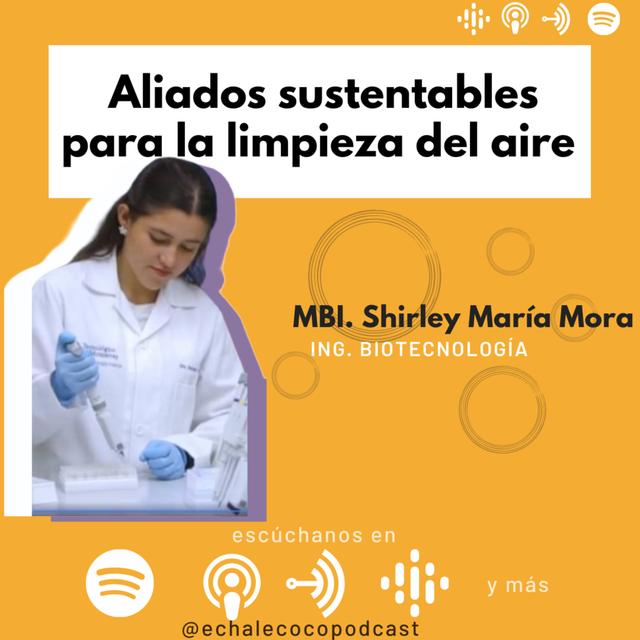 Aliados sustentables para la limpieza del aire - podcast episode cover