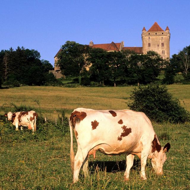 Comté, Absinth und Würste aus dem Jura - podcast episode cover