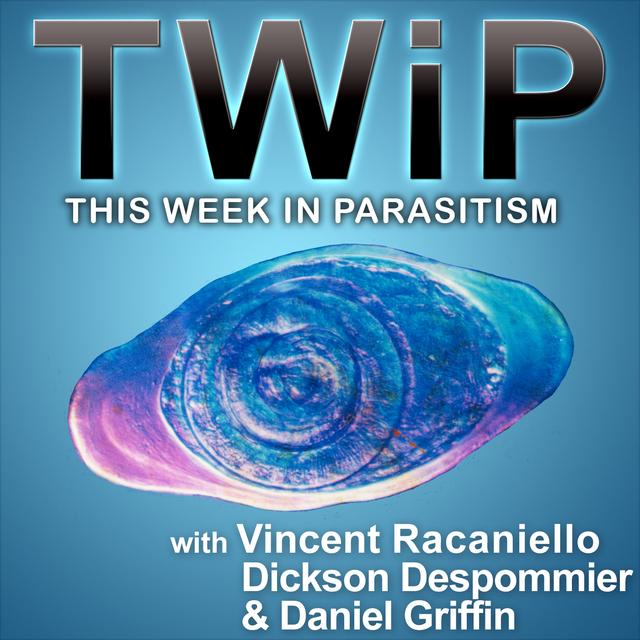 TWiP 94: Loa hanging fruit - podcast episode cover