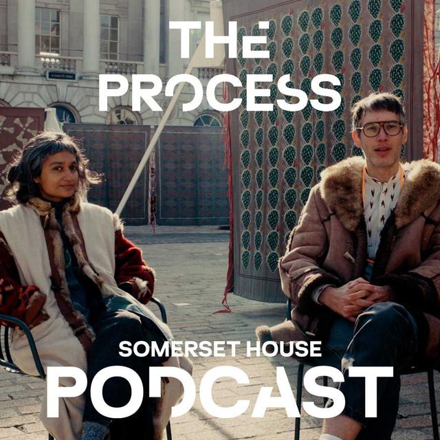The Process: Why did the British build a hedge across India? - podcast episode cover
