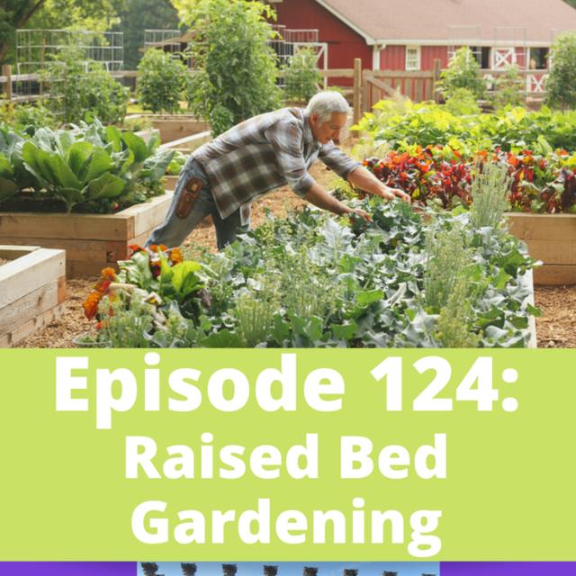 Raised Bed Gardening with Joe Lamp'l - podcast episode cover