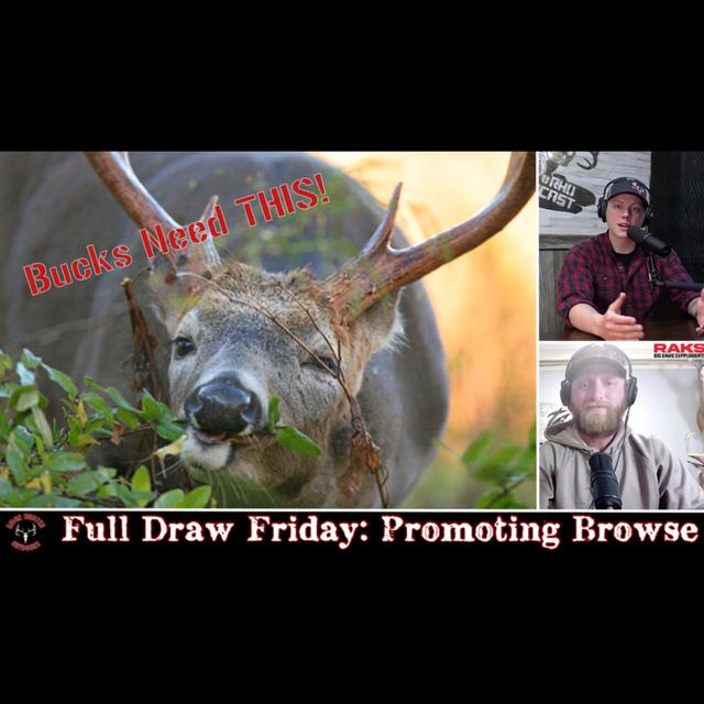 WHAT Is Natural Brows and WHY Is It Important? | Full Draw Friday #79 - podcast episode cover