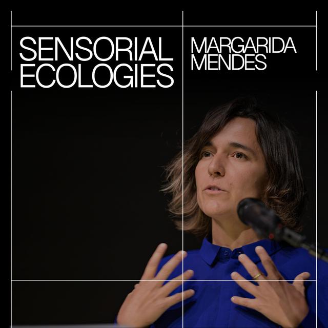 Margarida Mendes – Sensorial Ecologies - podcast episode cover