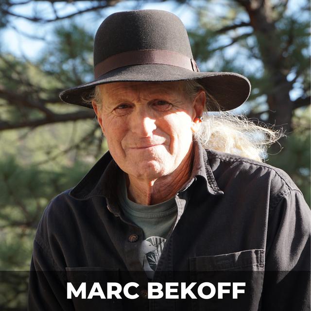 The Emotional Lives of Animals | Marc Bekoff - podcast episode cover