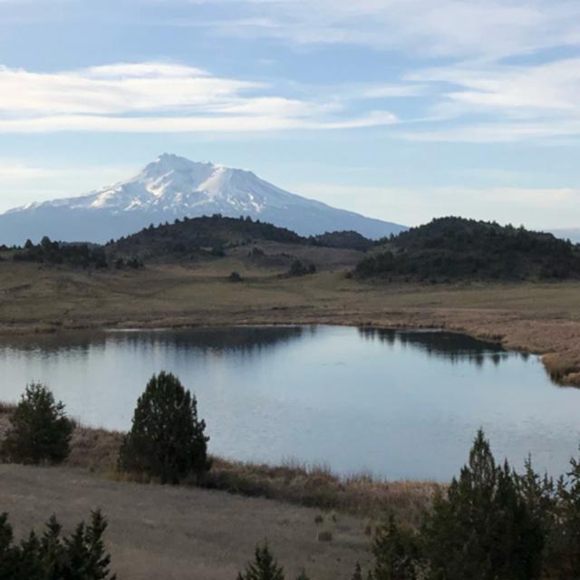 Episode 37: Shasta Valley Wildlife Area- Morning Beside Trout Lake - podcast episode cover