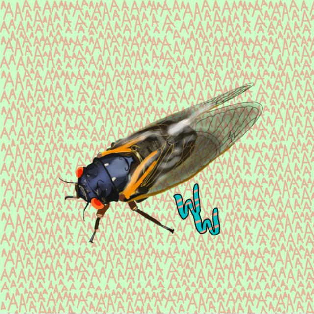 Cicadas - podcast episode cover