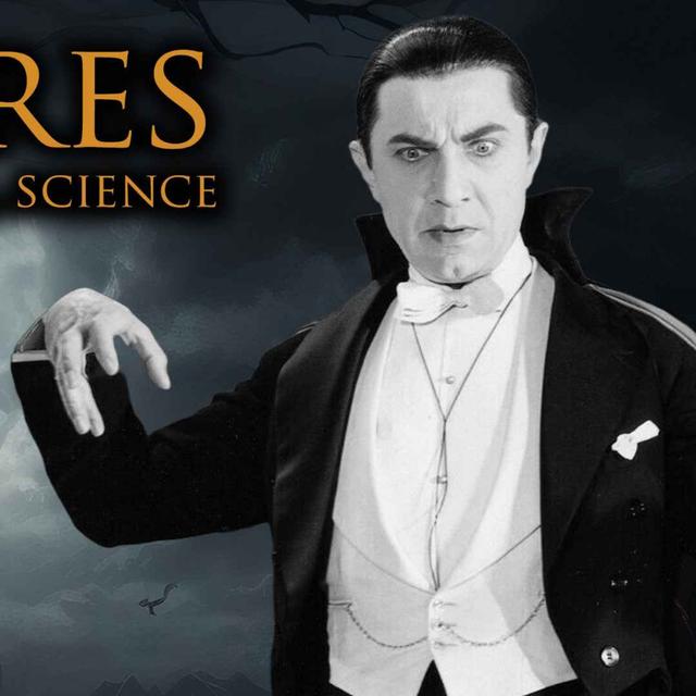 The History of Vampires - podcast episode cover