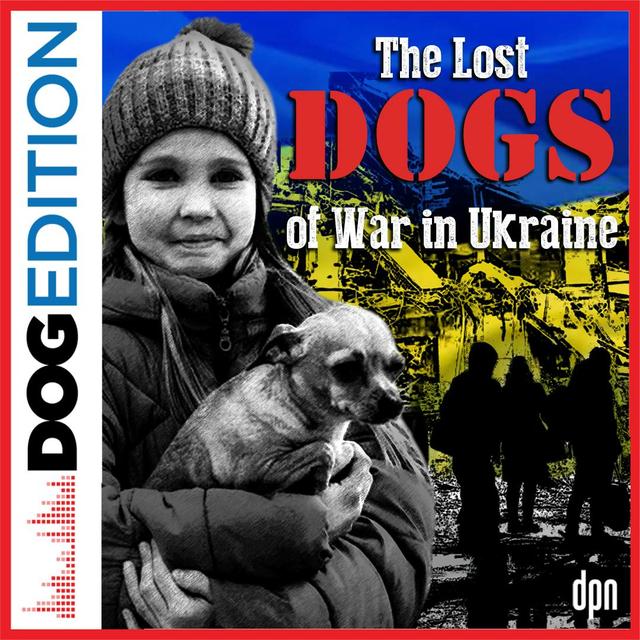 The Lost Dogs of War in Ukraine | Dog Edition #55 - podcast episode cover