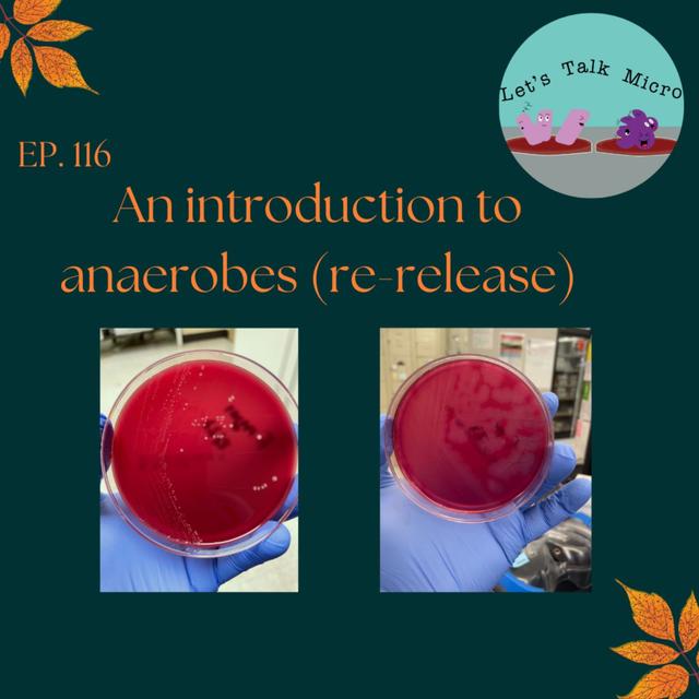 116: An introduction to anaerobes (re-release) - podcast episode cover