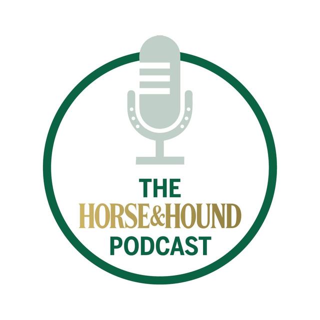 Understanding equine gastric ulcers, with Dengie | Horse & Hound Podcast promotional feature - podcast episode cover